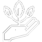 Icon of a hand holding a plant shoot growing upwards, representing the service focus of growth provided by Mani Business Services